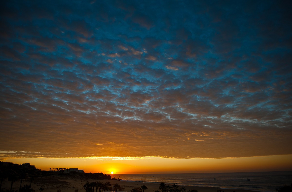 Events and Adventures